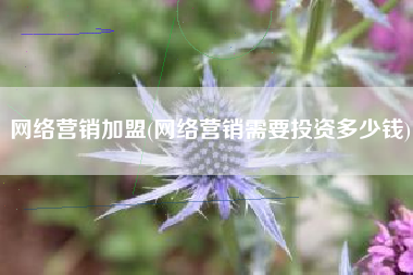 网络营销加盟(网络营销需要投资多少钱)