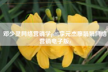 邓少灵网络营销学pdf(李元杰廖娟娟网络营销电子版)