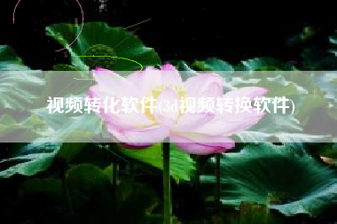 视频转化软件(3d视频转换软件)