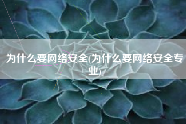 为什么要网络安全(为什么要网络安全专业)