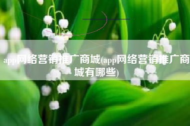 app网络营销推广商城(app网络营销推广商城有哪些)