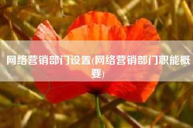 网络营销部门设置(网络营销部门职能概要)