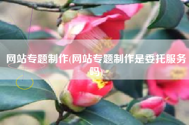 网站专题制作(网站专题制作是委托服务吗)