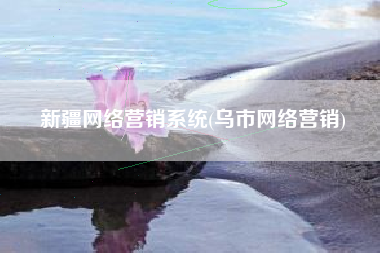 新疆网络营销系统(乌市网络营销)
