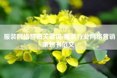 服装网络营销关键词(服装行业网络营销策划书范文)