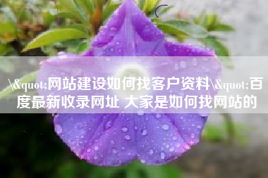 \"网站建设如何找客户资料\"百度最新收录网址 大家是如何找网站的