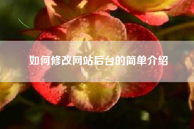 如何修改网站后台的简单介绍