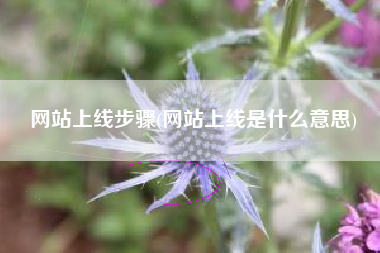 网站上线步骤(网站上线是什么意思)