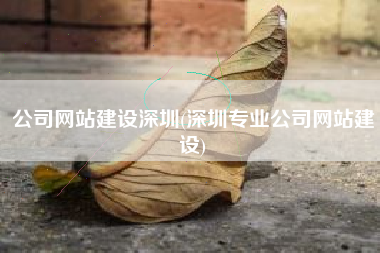 公司网站建设深圳(深圳专业公司网站建设)
