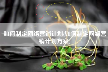 如何制定网络营销计划(如何制定网络营销计划方案)
