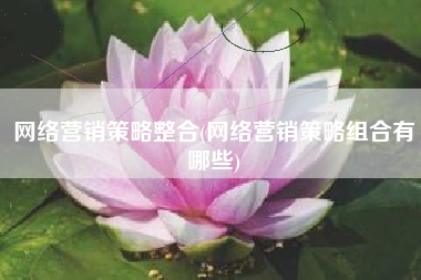 网络营销策略整合(网络营销策略组合有哪些)