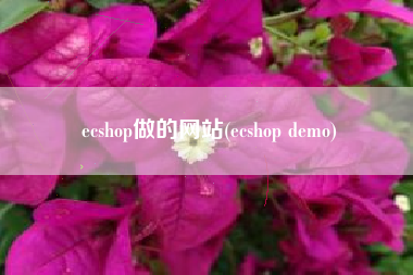 ecshop做的网站(ecshop demo)