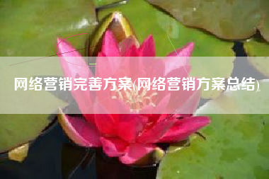网络营销完善方案(网络营销方案总结)