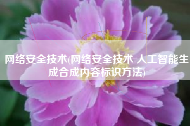网络安全技术(网络安全技术 人工智能生成合成内容标识方法)