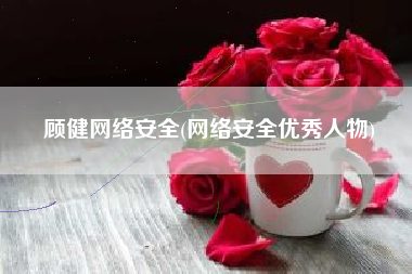 顾健网络安全(网络安全优秀人物)