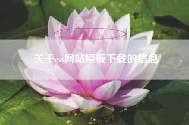 关于css网站模板下载的信息