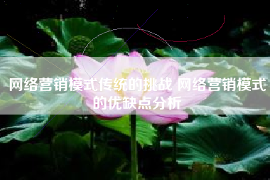 网络营销模式传统的挑战 网络营销模式的优缺点分析