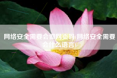 网络安全需要会做网页吗(网络安全需要会什么语言)