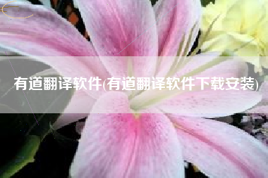 有道翻译软件(有道翻译软件下载安装)