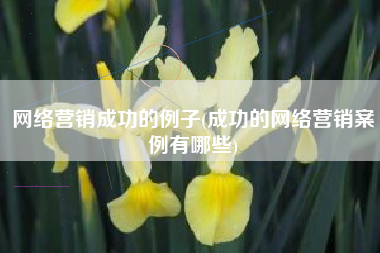 网络营销成功的例子(成功的网络营销案例有哪些)