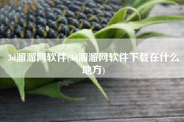 3d溜溜网软件(3d溜溜网软件下载在什么地方)