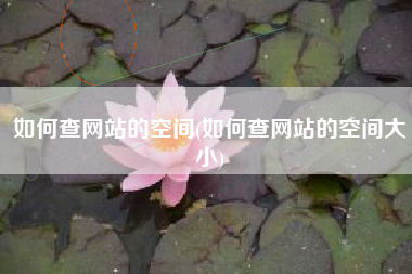 如何查网站的空间(如何查网站的空间大小)