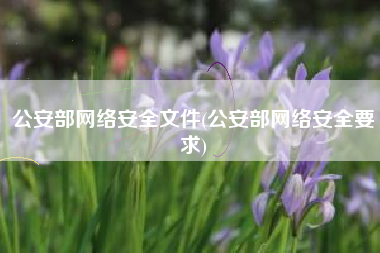 公安部网络安全文件(公安部网络安全要求)