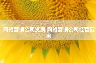 网络营销公司资质 网络营销公司经营范围