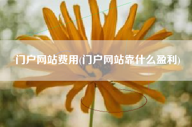 门户网站费用(门户网站靠什么盈利)