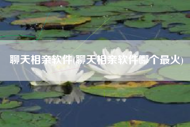 聊天相亲软件(聊天相亲软件哪个最火)