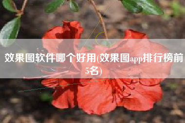 效果图软件哪个好用(效果图app排行榜前5名)