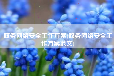 政务网络安全工作方案(政务网络安全工作方案范文)