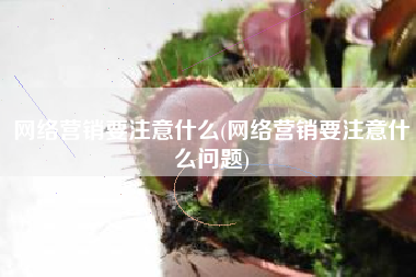 网络营销要注意什么(网络营销要注意什么问题)