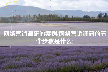 网络营销调研的案例(网络营销调研的五个步骤是什么)