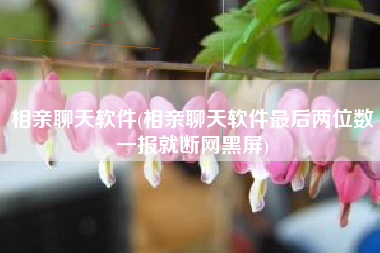 相亲聊天软件(相亲聊天软件最后两位数一报就断网黑屏)