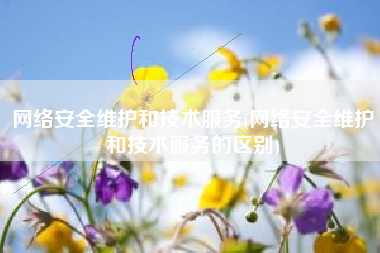 网络安全维护和技术服务(网络安全维护和技术服务的区别)