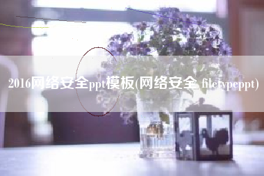 2016网络安全ppt模板(网络安全 filetypeppt)