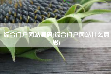 综合门户网站源码(综合门户网站什么意思)