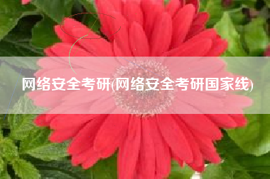 网络安全考研(网络安全考研国家线)