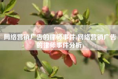 网络营销广告的律师事件(网络营销广告的律师事件分析)