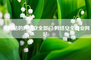 大网站的网络安全部门(网络安全行业网站)