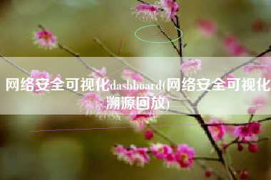 网络安全可视化dashboard(网络安全可视化溯源回放)