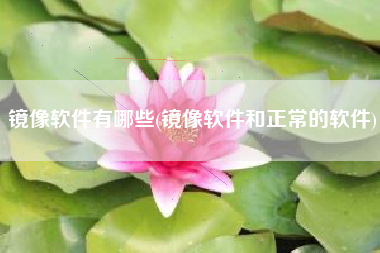 镜像软件有哪些(镜像软件和正常的软件)
