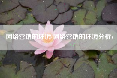 网络营销的环境(网络营销的环境分析)
