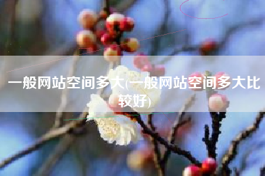 一般网站空间多大(一般网站空间多大比较好)