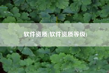 软件资质(软件资质等级)