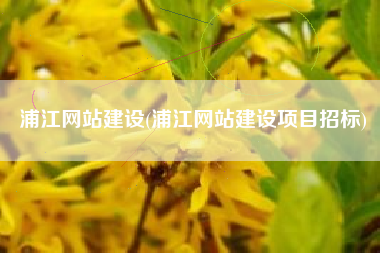 浦江网站建设(浦江网站建设项目招标)