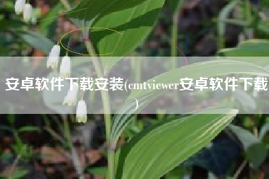 安卓软件下载安装(cmtviewer安卓软件下载)