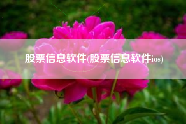 股票信息软件(股票信息软件ios)
