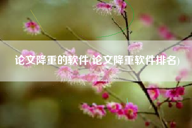 论文降重的软件(论文降重软件排名)